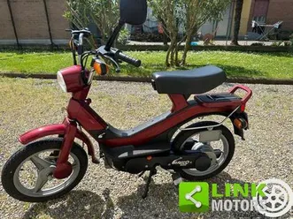 piaggio piaggio grillo 50 50