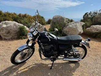 mash five hundred (400 cc)