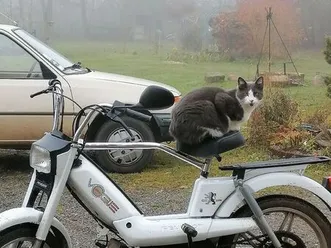 peugeot 103 vosges 2015