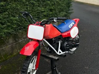 qr 50 - idéale enfant