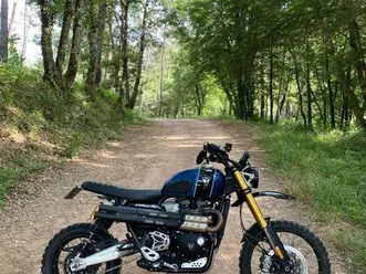 triumph scrambler 1200 xe