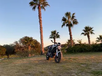 ducati - monster 696