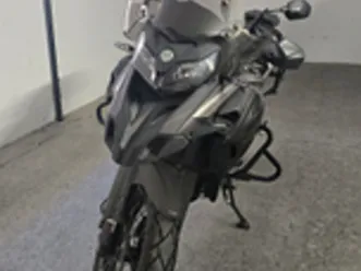 benelli trk 502 x 2019