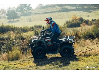 goes terrox 500 court