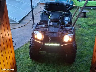 quad goes 520 max châssis long