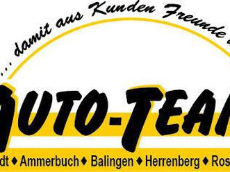 1.2 8 gang at automatik gs line apple and