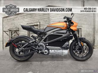 HARLEY DAVIDSON 2020 HARLEY-DAVIDSON 