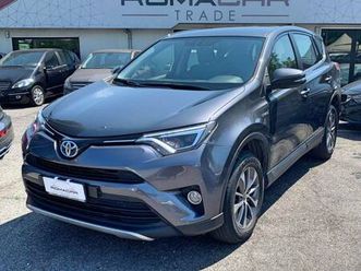 rav4 2.5 hybrid 2wd active uni pro tagliandi doc.