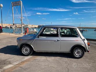 mini 25