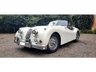 jaguar - xk 140 roadster