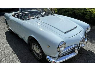 alfa romeo giulia spider