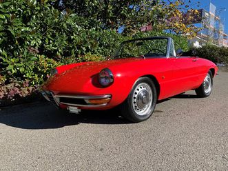 spider 1600 duetto osso di seppia komplett restauriert