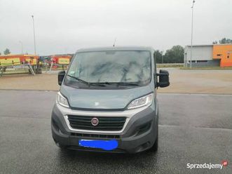 fiat ducato gogolin - sprzedajemy.pl
