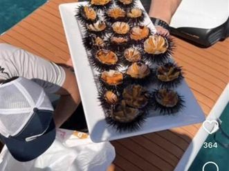 shitet dooge ne gjendje shum te mir