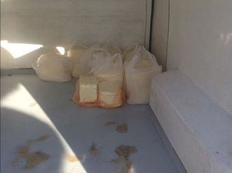 shes fugon vito frigoriferik