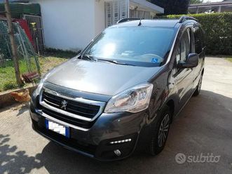 partner-bluehdi-100-etg6-s-s-active-guida-disabile