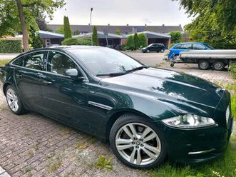 jaguar-xj-3-0d-im-guten-zustand