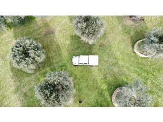 terreno-1-ha-con-120-olivi-e-rudere