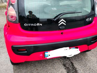 lagotto da accoppiare