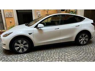 tesla-model-y-long-range-4wd-autopilot-avanzato