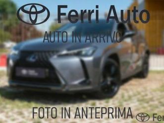 other ux 2019 250h 2.0 business 2wd cvt