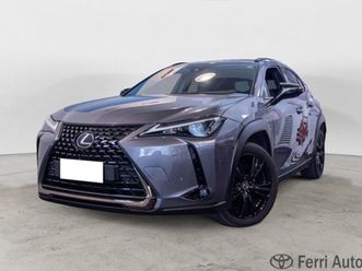 other ux 2019 250h 2.0 executive 2wd cvt