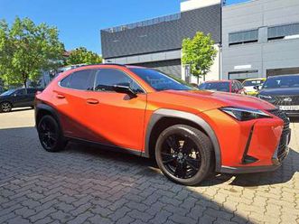 ux-250-h-style-sitzheizung-lenkradheizung-uvm