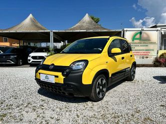 panda 1.0 hybrid pandina