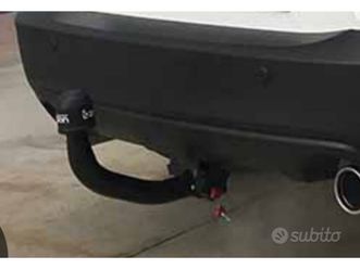 roll container carelli per legna