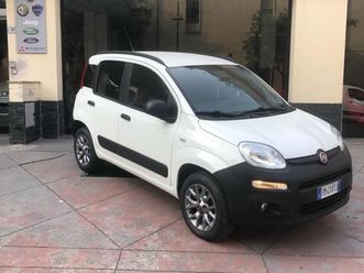 panda 3ª serie panda 1.3 mjt 4x4 pop van 2 posti