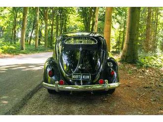 volkswagen coccinelle ovale