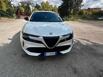 alfa romeo junior