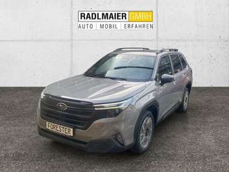 2-0ie-e-boxer-exclusive-lineart