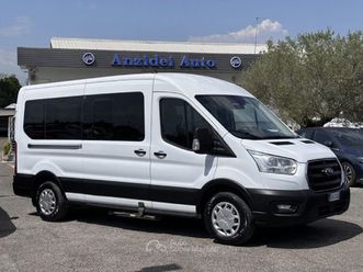 2.0 ecoblue 130cv l3h2 9 posti trasporto disabili