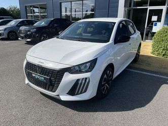 1.2 hybrid 100ch active e-dcs6