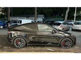 tesla model y performance - massimo potenziale