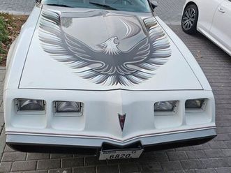 pontiac trans am pace car 301-4v 4.9l turbo v8 | 1980 | perfect condition
