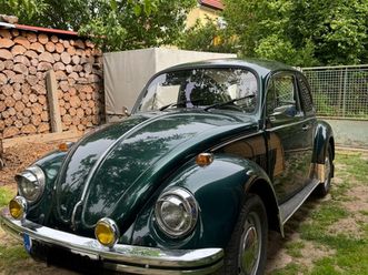 volkswagen brouk 1973