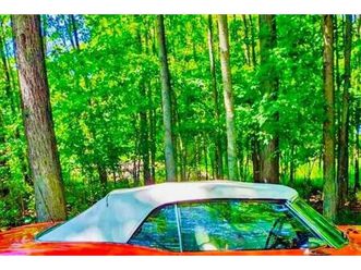 1969 pontiac firebird