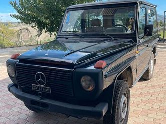 mercedes g300 autocarro