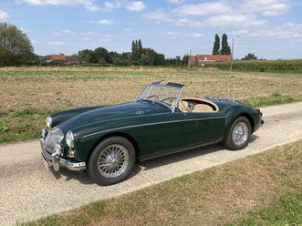 mg mga