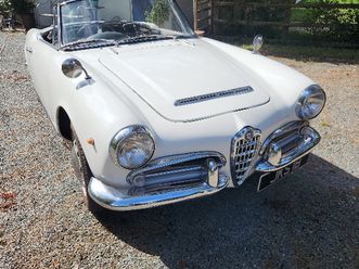 1964 alfa romeo giulia 1964 spider