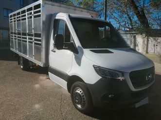 mercedes - sprinter 516 cdi