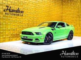 mustang saleen 302 yellow label