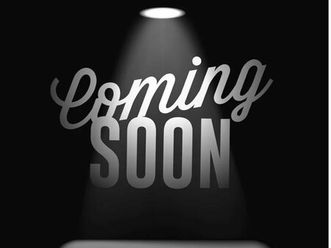 used 2008 scion tc chicago il 60632