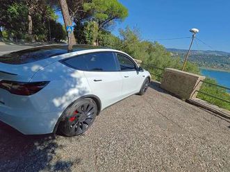 model y performance dual motor awd