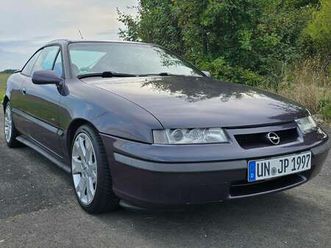 calibra v6 dtm edition nr. 669 leder irmscher 17