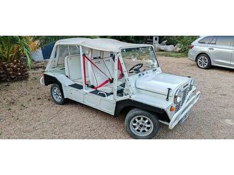 mini divers mini moke