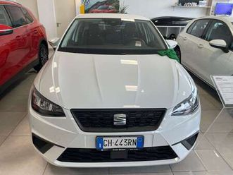 ibiza 1.0 ecotsi business 110cv