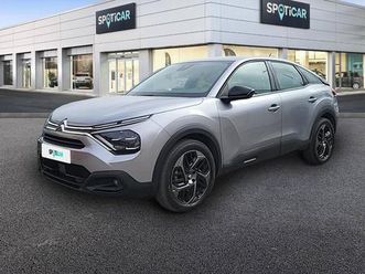 hibrido 136 e-dcs6 max